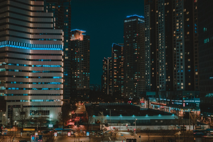 police lights city night